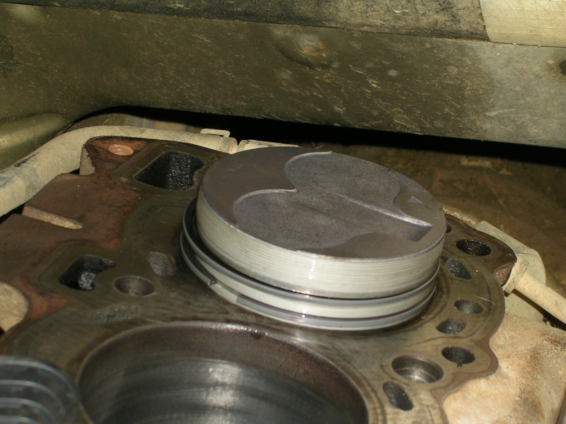dscn8831.jpg