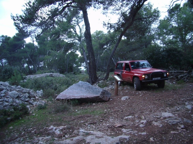 sa551342.jpg