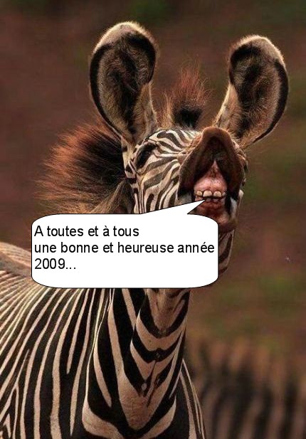 Image hébergée par servimg.com