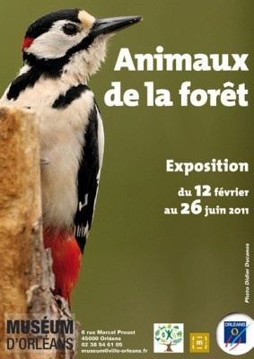 Image hébergée par servimg.com