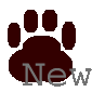 Neue Beiträge