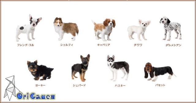 basset hound nintendogs