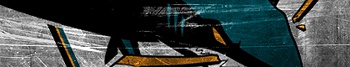 San Jose Sharks